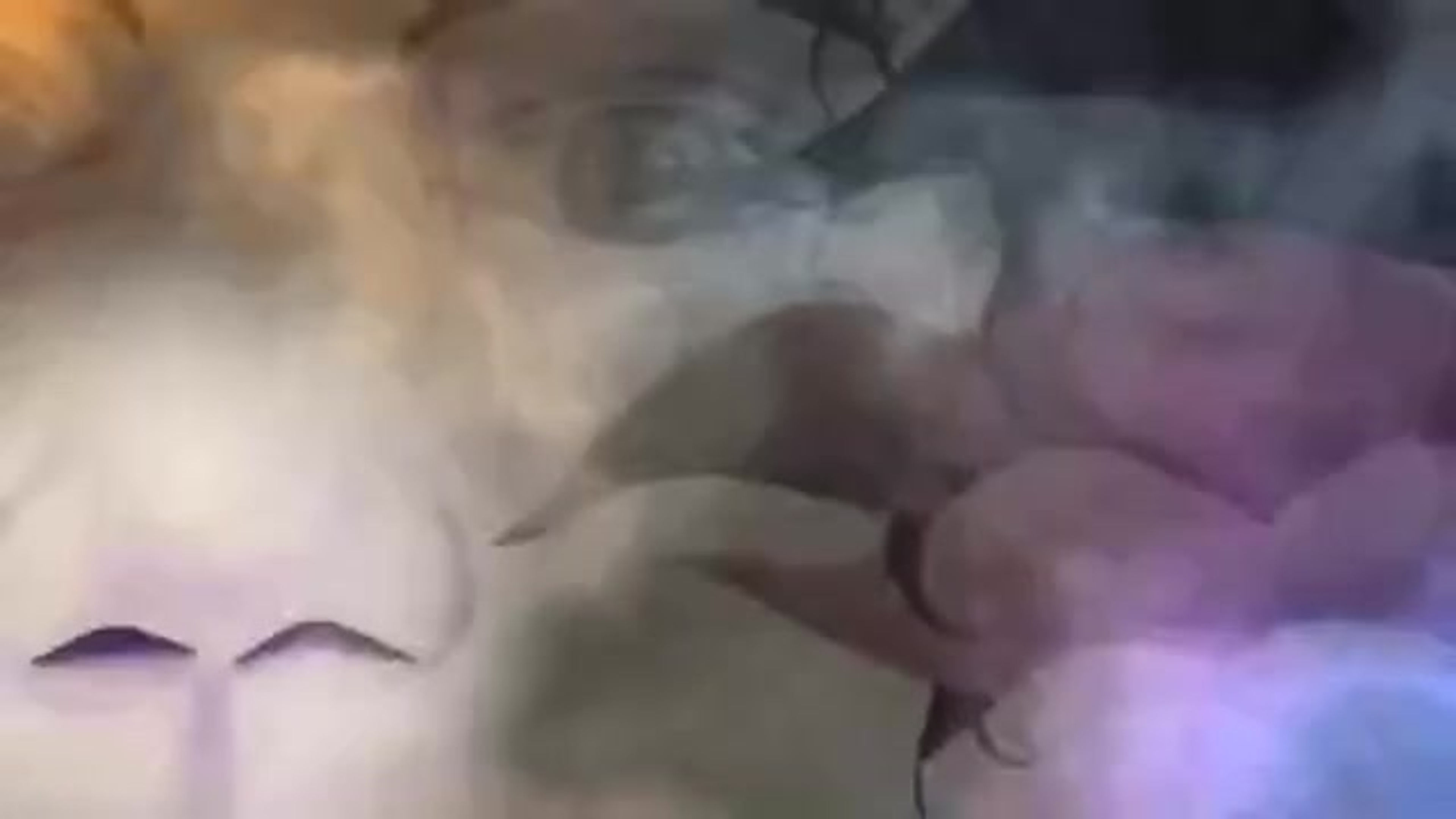 All Videos